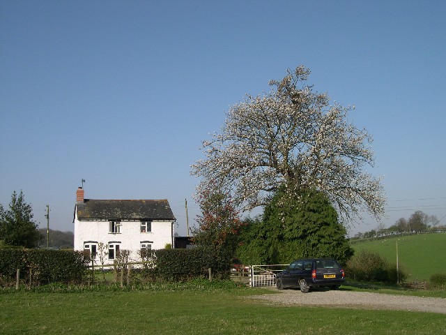 Photograph